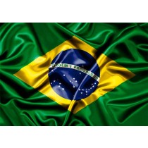 Bandeira do Brasil para Loja