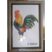 Quadro Galo p/ Câmara de Reflexão