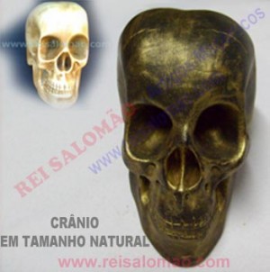 Crânio p/ Câmara de Reflexão.